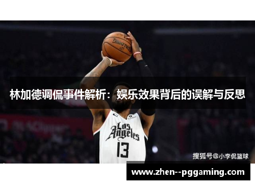 林加德调侃事件解析：娱乐效果背后的误解与反思