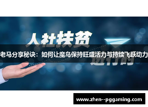 老马分享秘诀:如何让魔鸟保持旺盛活力与持续飞跃动力 老马分享秘诀:如何让魔鸟保持旺盛活力与持续飞跃动力